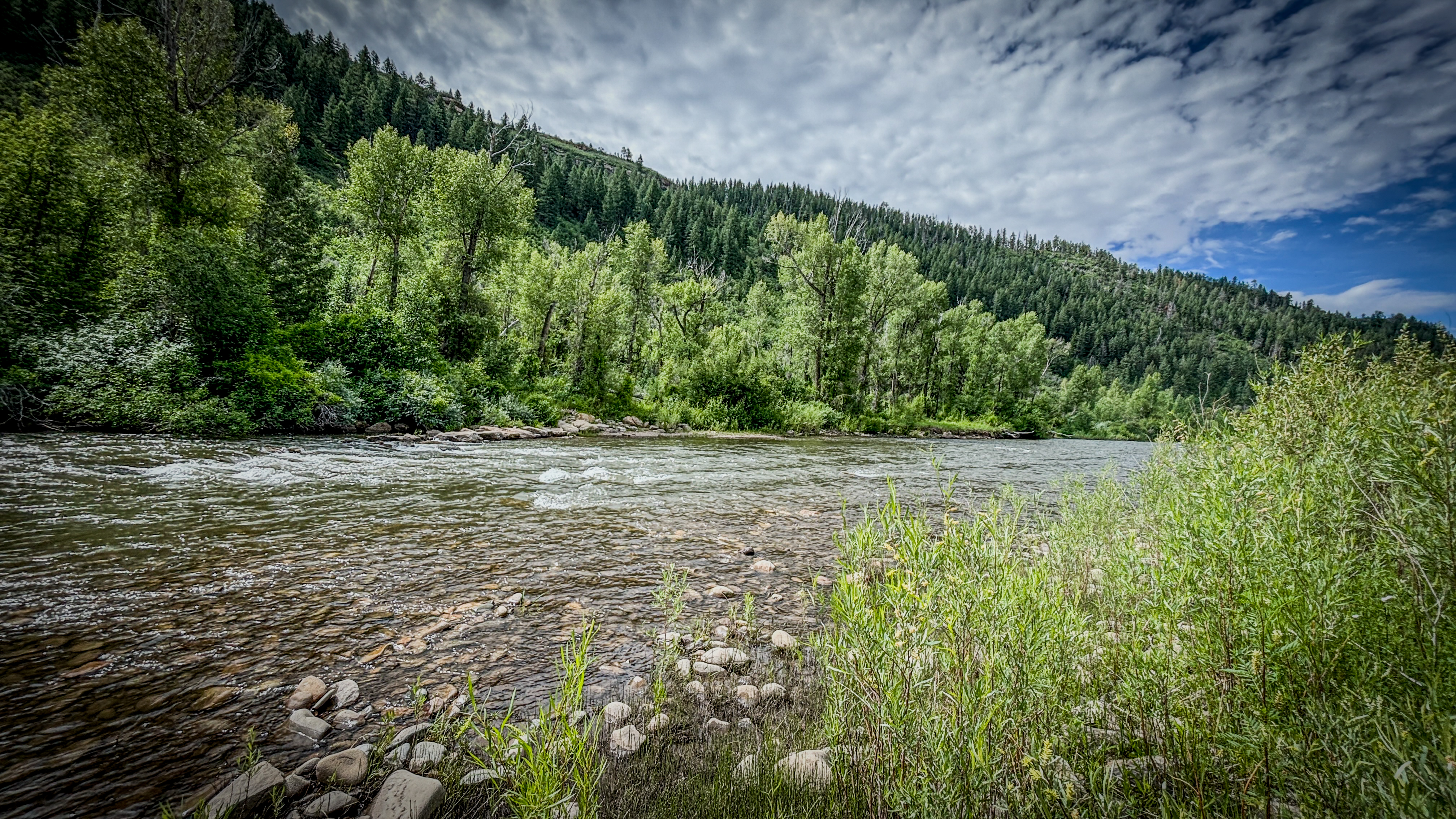 Planning My Fishing Trips: From Texas Marshes to Colorado’s Wild Trout Streams