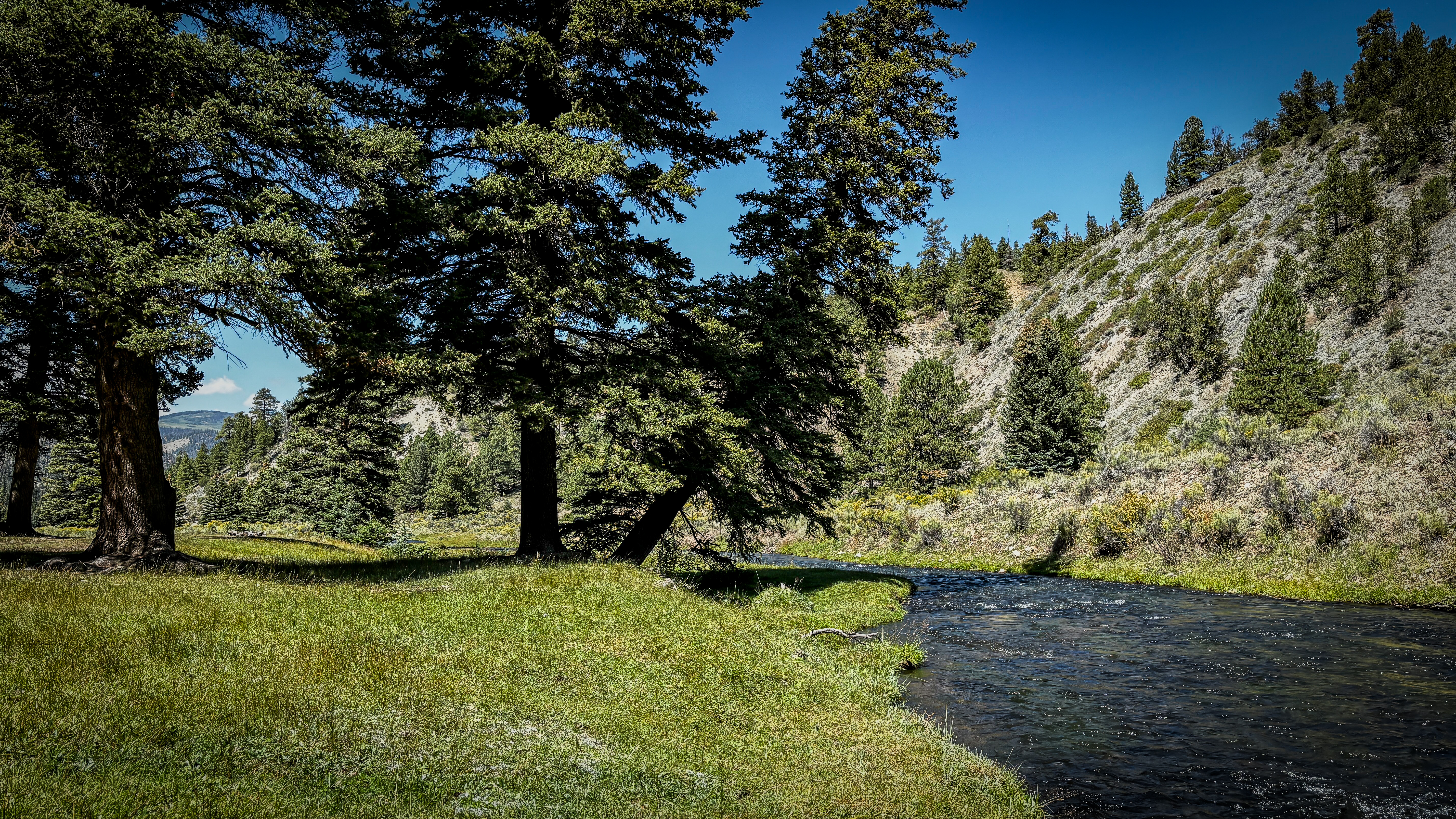 Fly Fishing in New Mexico – A Guide to the Land of Enchantment