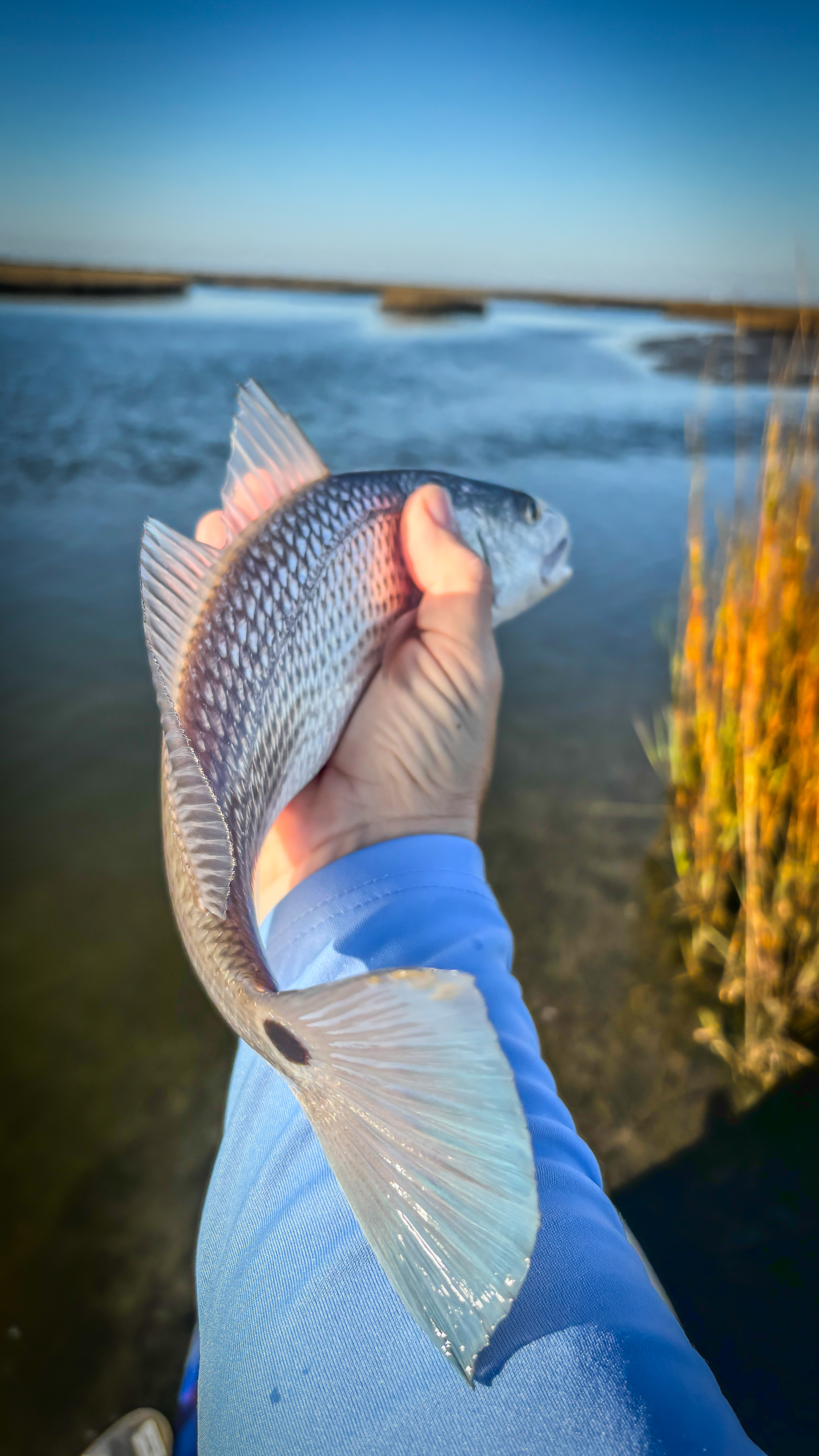 Mastering Inshore Saltwater Fishing in Galveston West Bay for Bigger and Better Catches