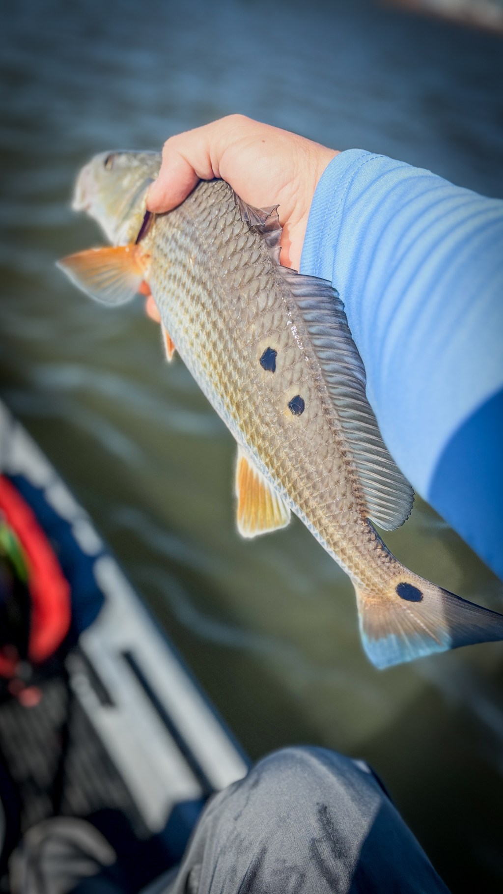 In-Depth Spring Redfish Behavior in Freeport &&nbsp;Galveston