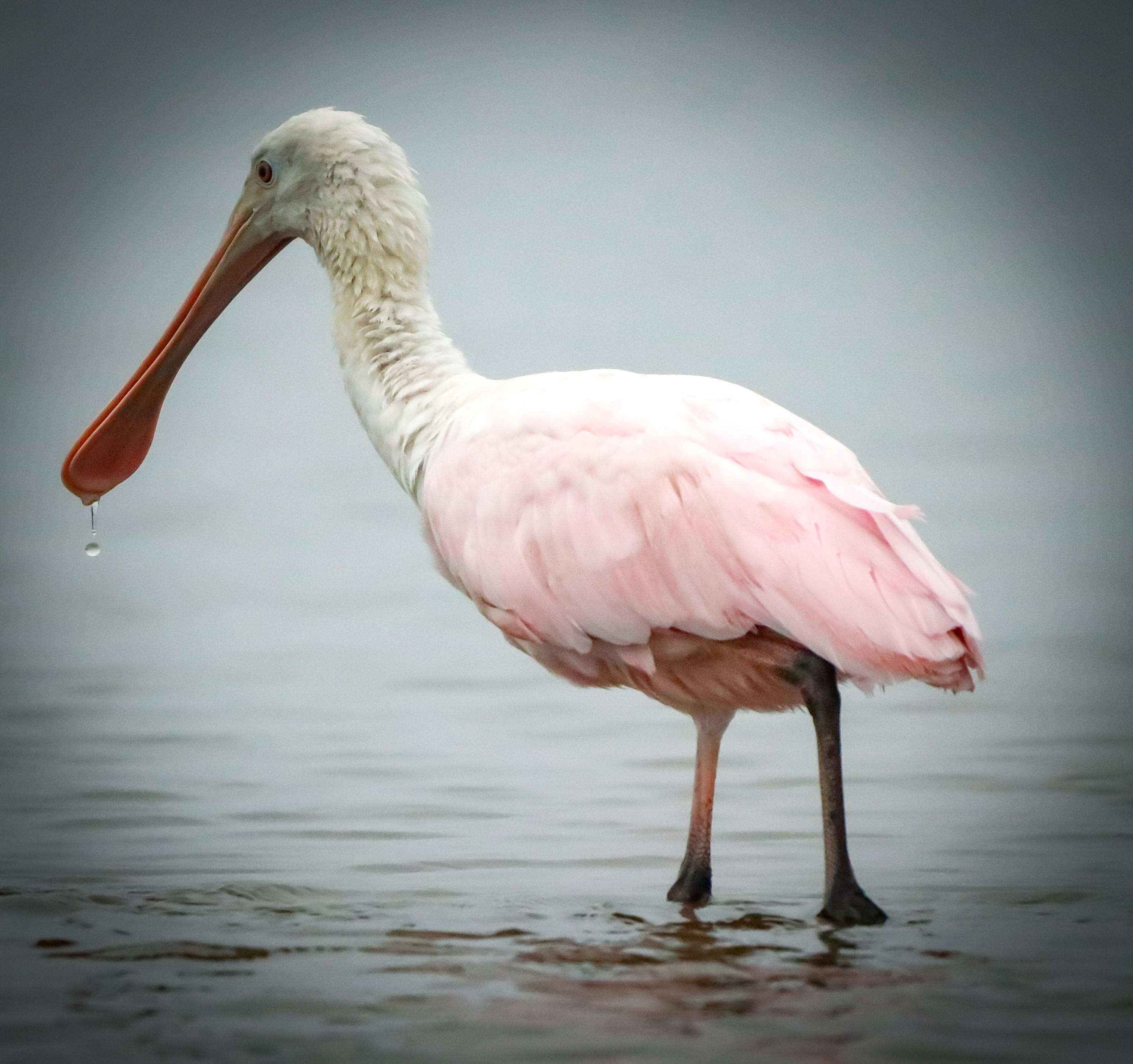 Capturing Nature: The Art of Photography While Fishing and Hiking