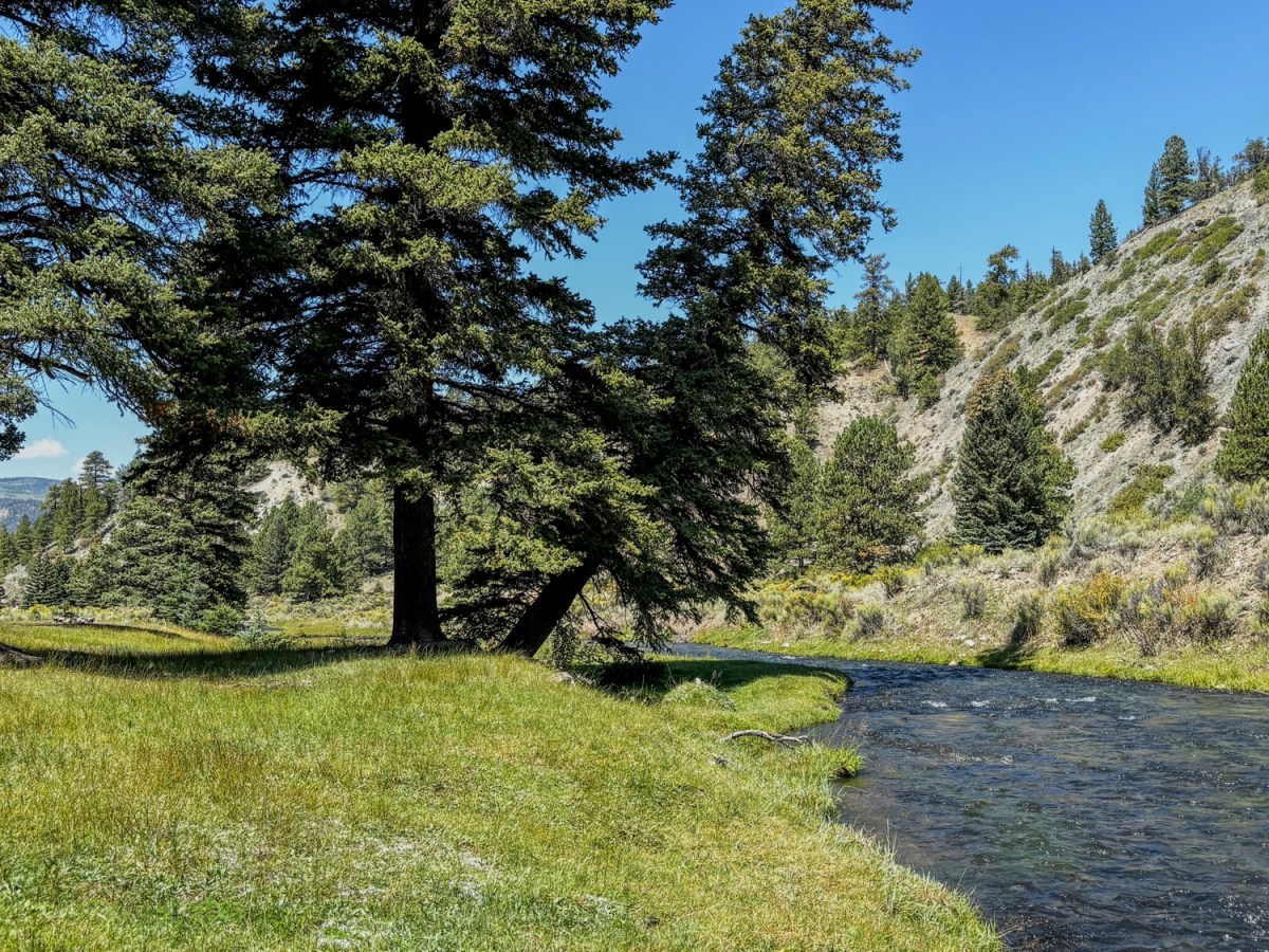 Luxury I can’t live&nbsp;without