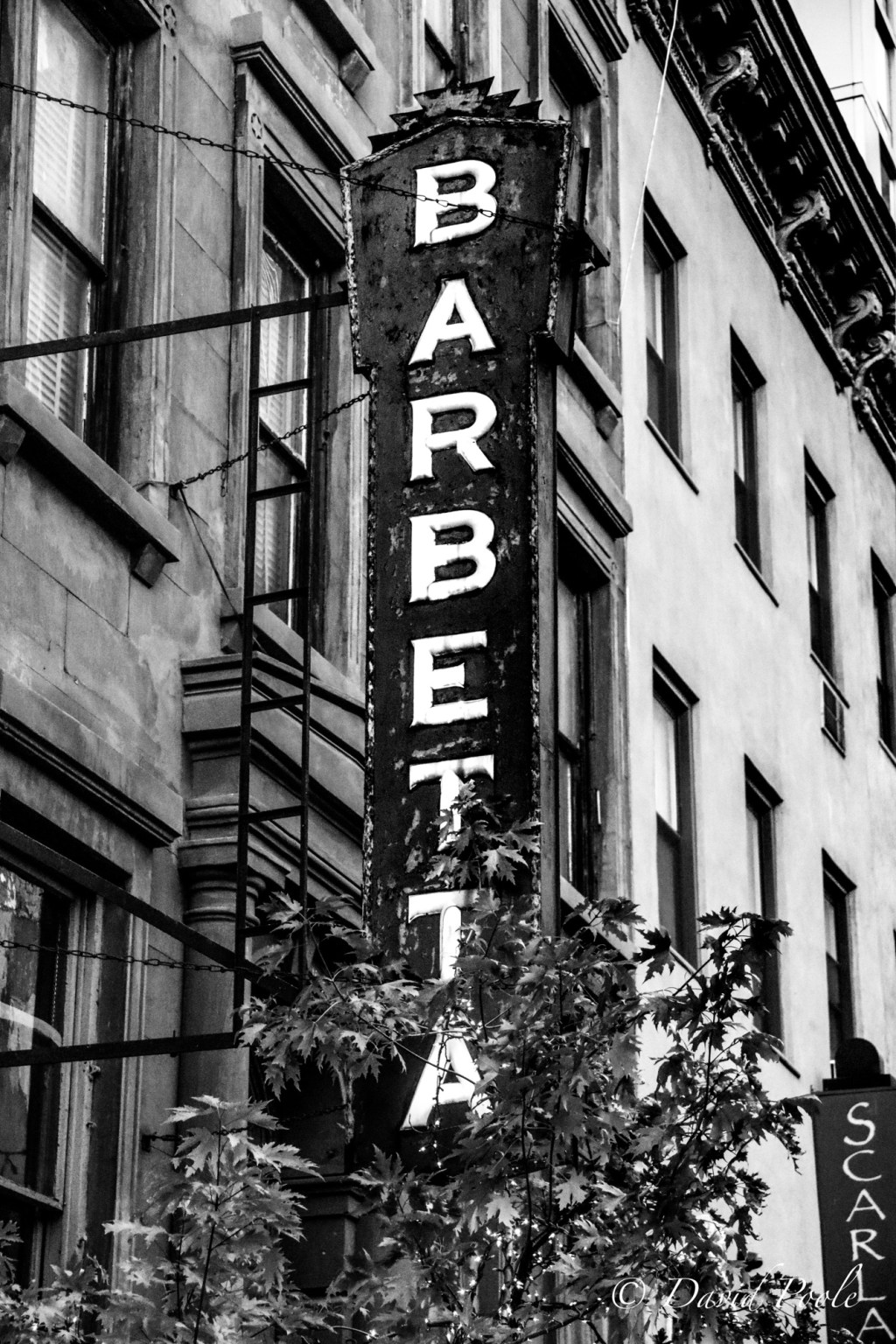 Shadows & Stone: New York and Virginia in Black and&nbsp;White