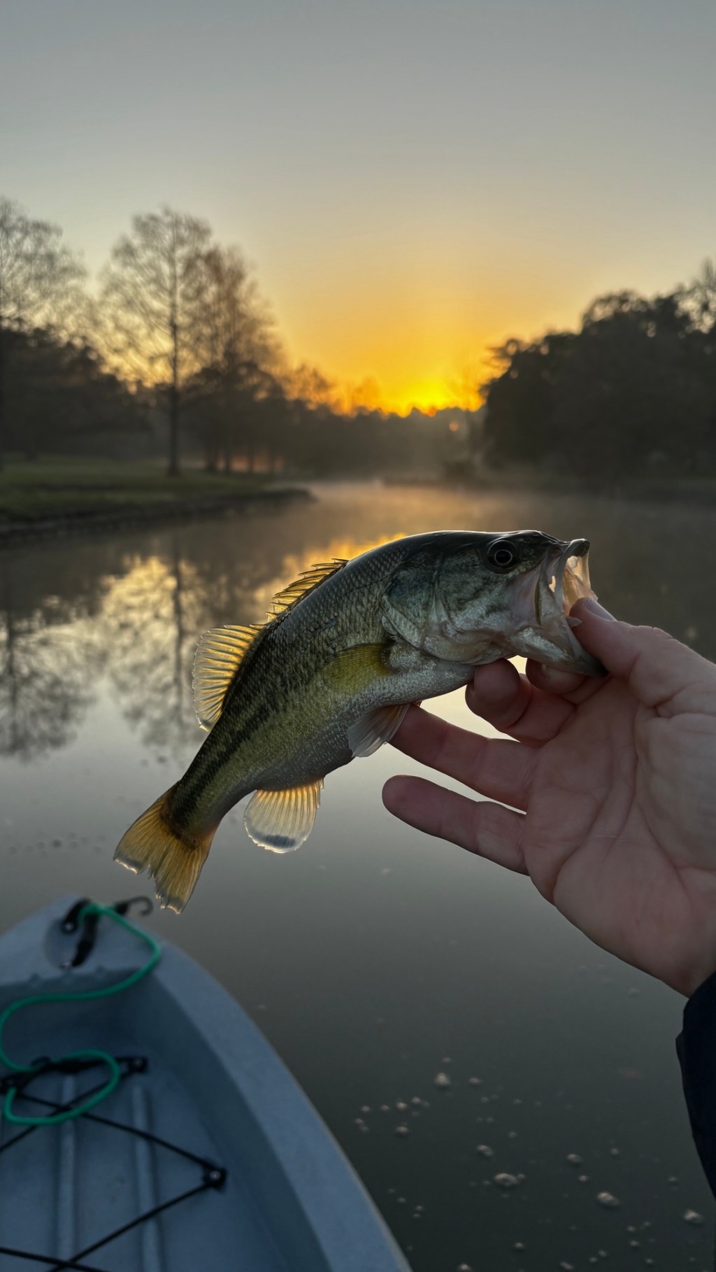 Kayak Fishing Dickinson&nbsp;Bayou