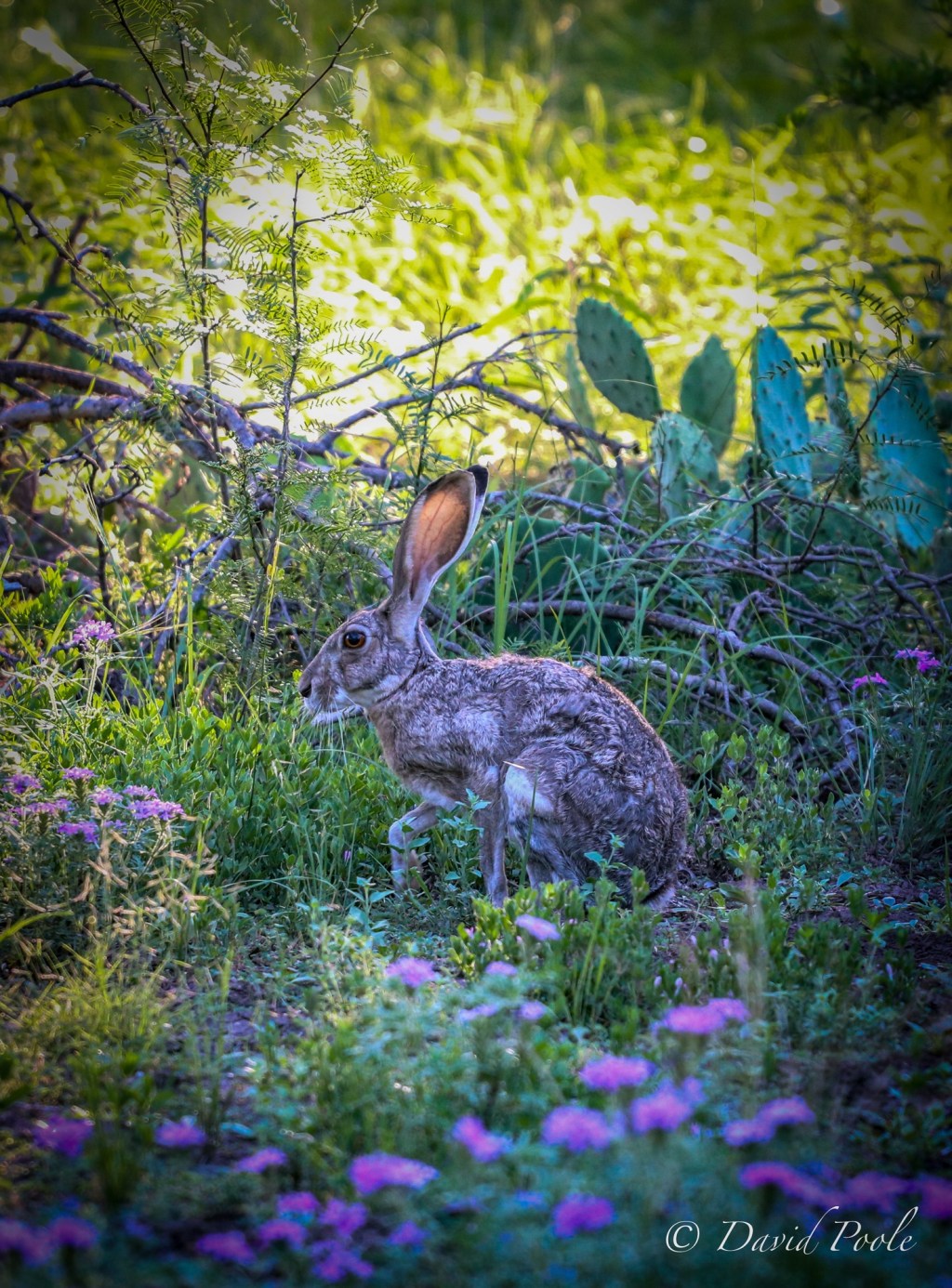 Easter Reflection: A Quiet Holiday, Remembering Family, and Embracing Simpler&nbsp;Traditions
