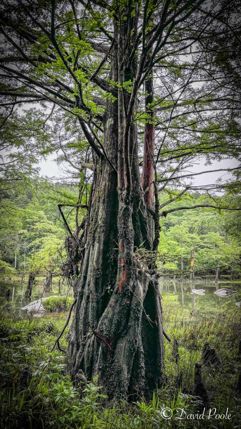 Casting Away the Noise: Why I Unplug to&nbsp;Reconnect