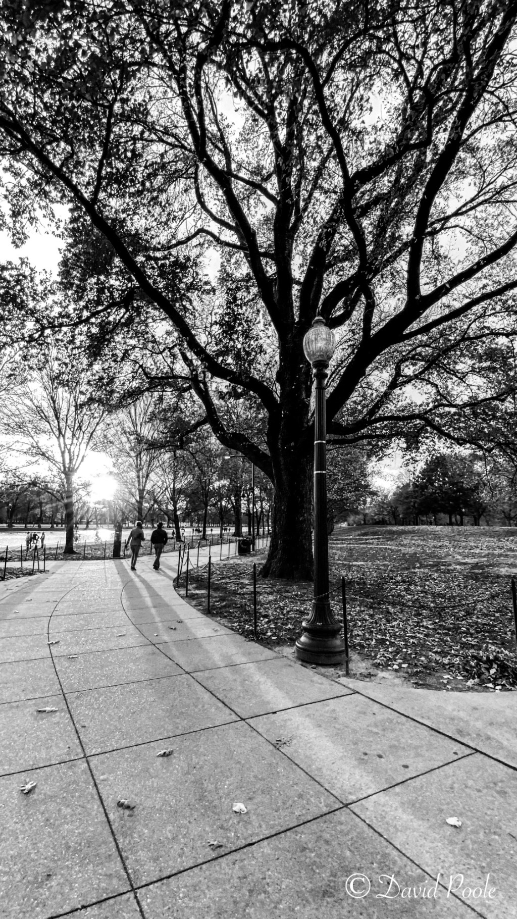 When I Walk, I Cast Shadows: Finding Peace in the Present&nbsp;Moment