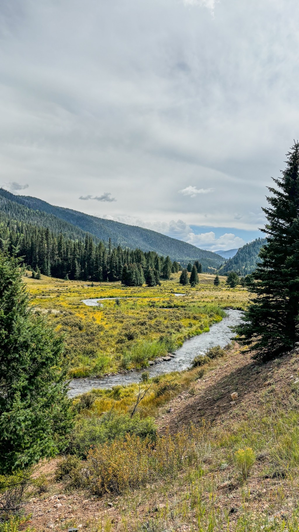 The Art of Solitude: Why I Chase Wild Places with a Fly Rod and a&nbsp;Camera