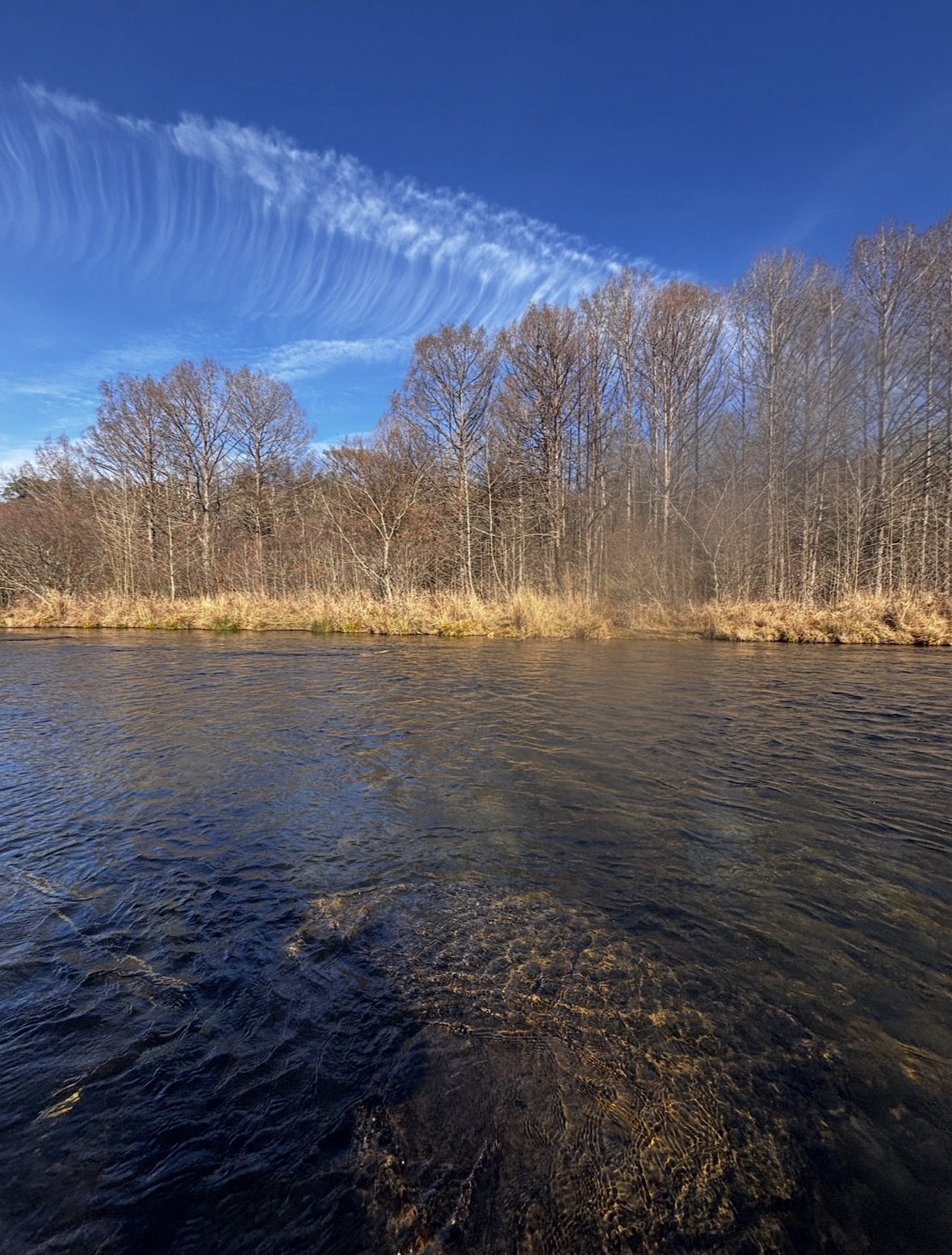 When Observation Changes Everything: A Moment in the River