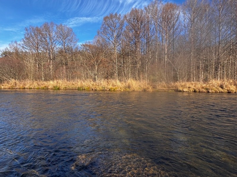 When Observation Changes Everything: A Moment in the&nbsp;River