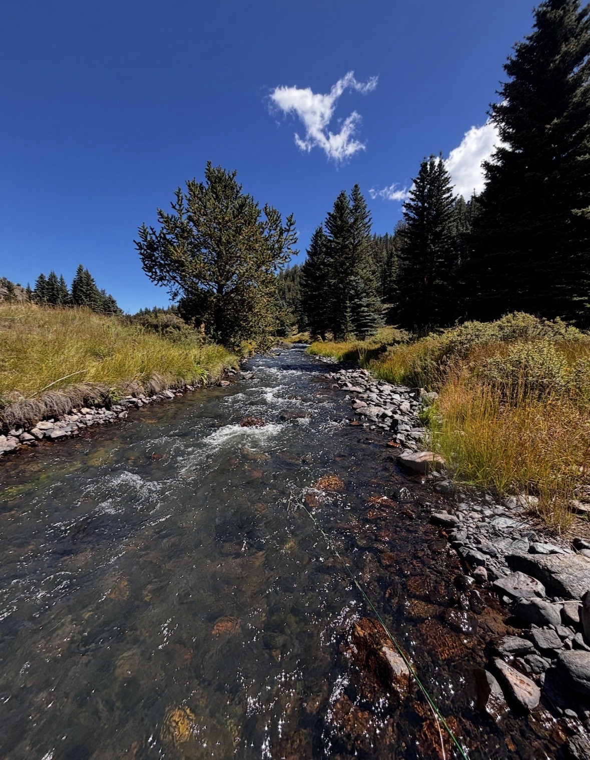 Dry Fly Fishing Fundamentals: Presentation, Observation, and Choosing the Right Fly