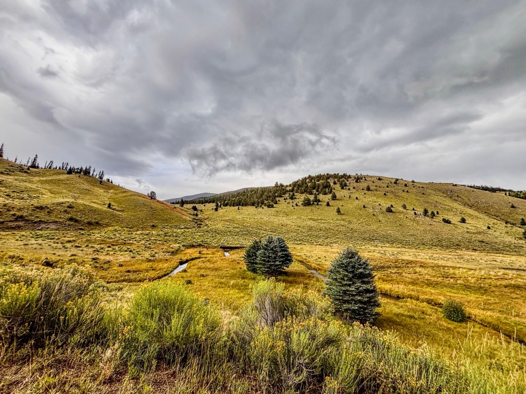 Rio Grande cutthroat trout: Why Conservation Feels Personal to Me