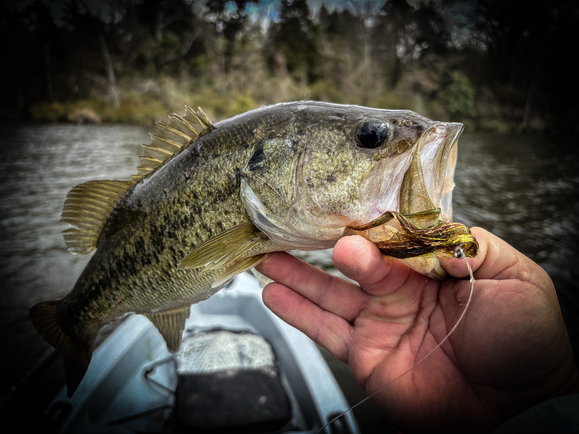 Beyond the Cast: Kayak Fly Fishing for Largemouth Bass with Topwater Frogs and Streamers