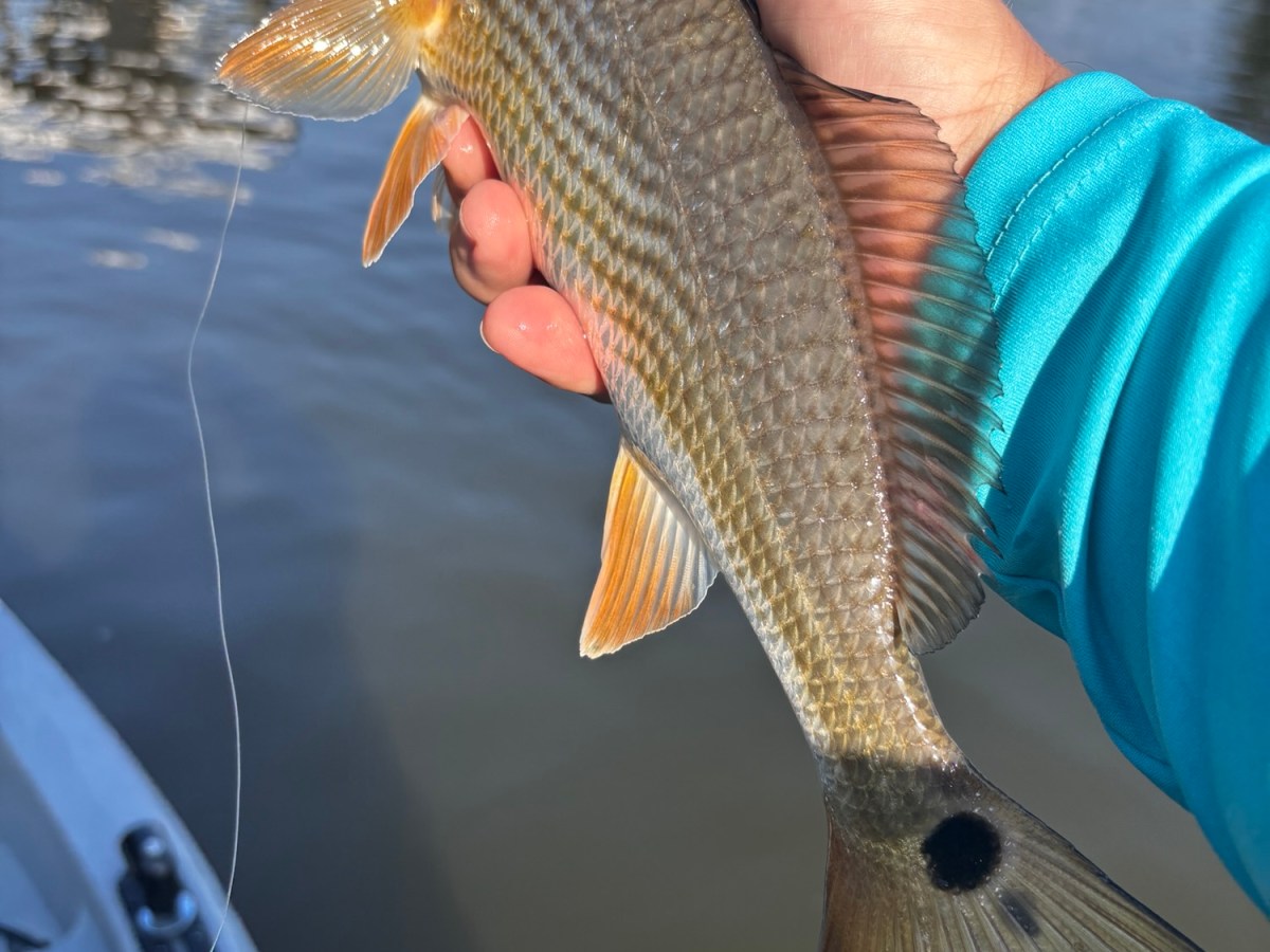 How Current Triggers Redfish & Speckled Trout Feeding (Texas Inshore&nbsp;Secrets)