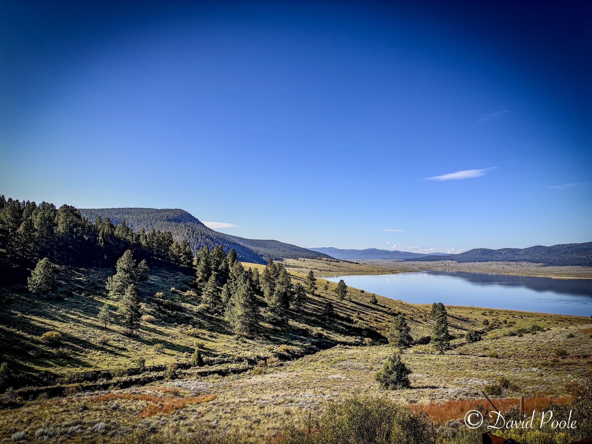 New Mexico Fly Fishing: Streamer Tactics, Backcountry Waters & My Trout Slam Plan
