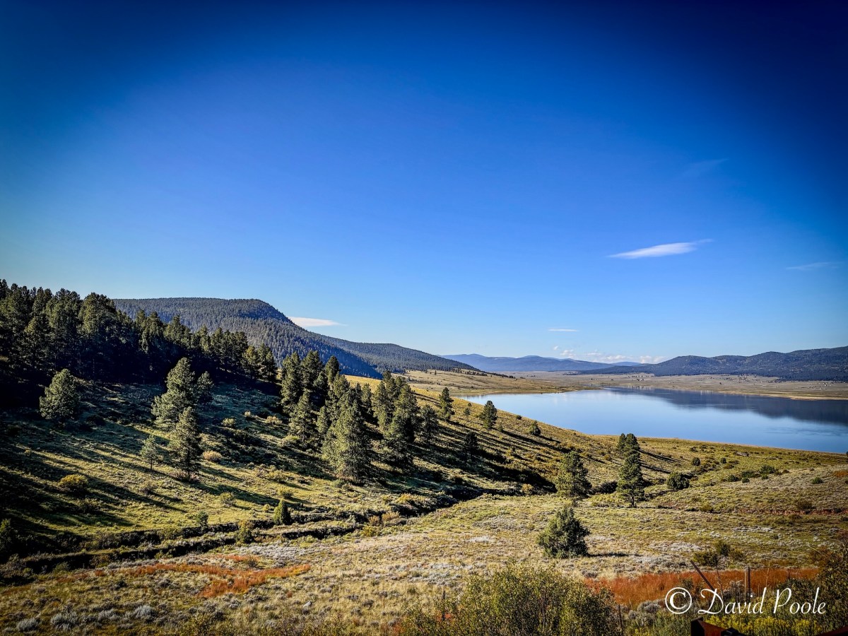 New Mexico Fly Fishing: Streamer Tactics, Backcountry Waters & My Trout Slam&nbsp;Plan